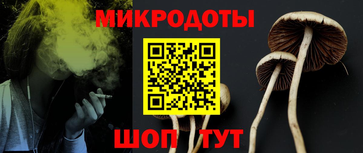 Галлюциногенные грибы мухоморы Карасук