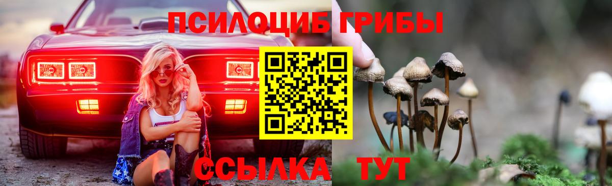 Карасук  магазин продажи наркотиков  Вход с VPN  Псилоцибиновые грибы прущие грибы 